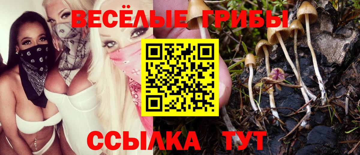 ГАШИШ Люберцы
