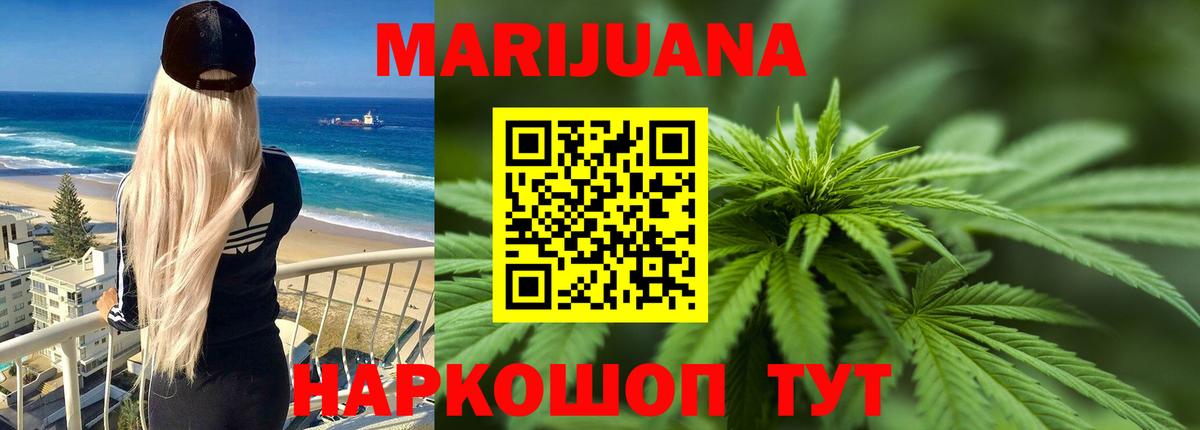 Каннабис сатива Люберцы
